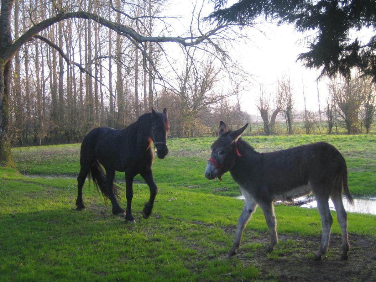 La Ferme De Tigny Villa Eksteriør billede